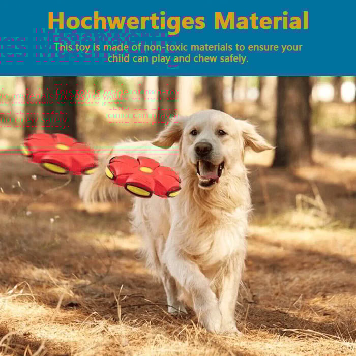 🔥Heißer Verkauf - 49% Rabatt🐾Kugel mit fliegender Untertasse für Haustiere