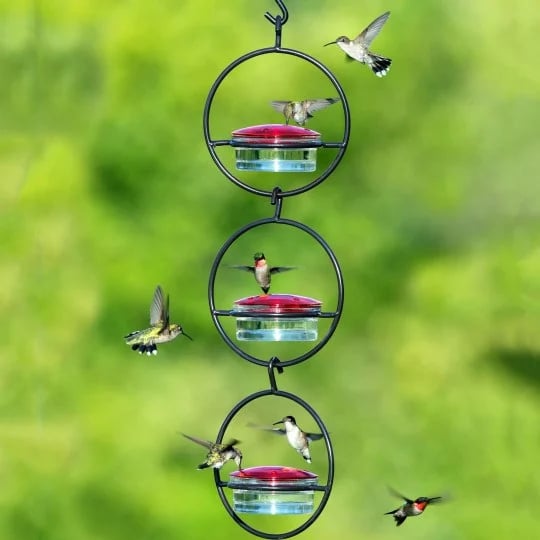 Limited Time Offer - Handcrafted Circular Hanging Hummingbird Feeder