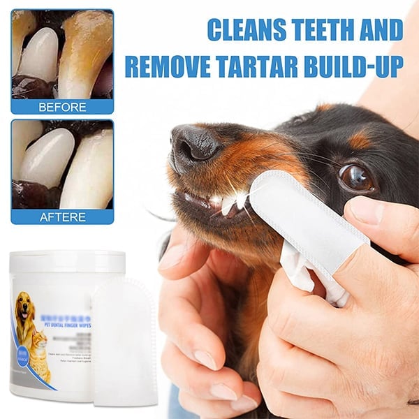 ✨2023 New Sales-50% OFF✨Pet Dental Cleaning finger Wipes