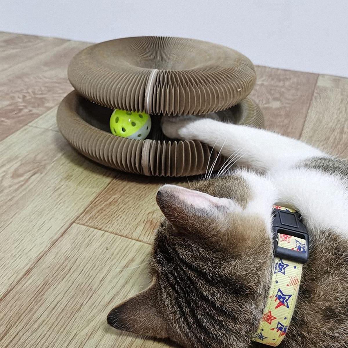 🎉Magic Organ Cat Scratching Board--Comes with a toy bell ball🔥