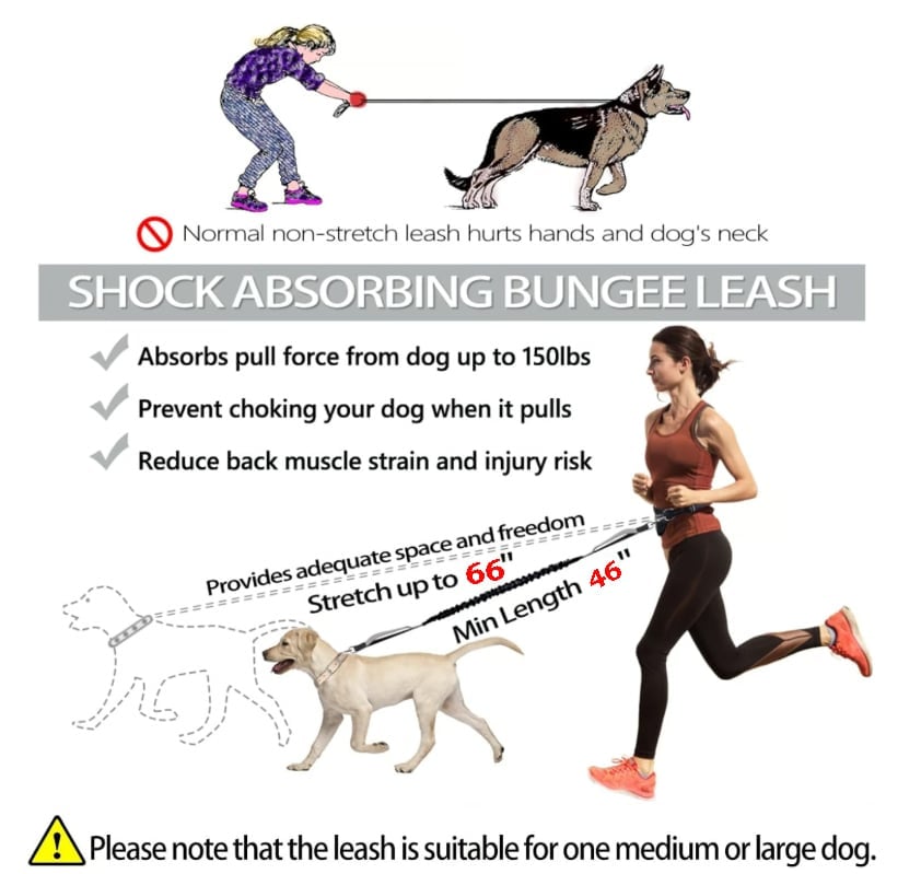 🎁TikTok Last Day Sale - 70% OFF🎉Hands Free Dog Leash with Zipper Pouch