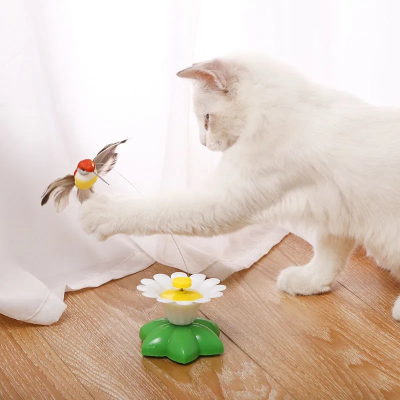 🔥Last Day Promotion - 60% OFF🎁😻😻Electric bird teasing cat toy🐦