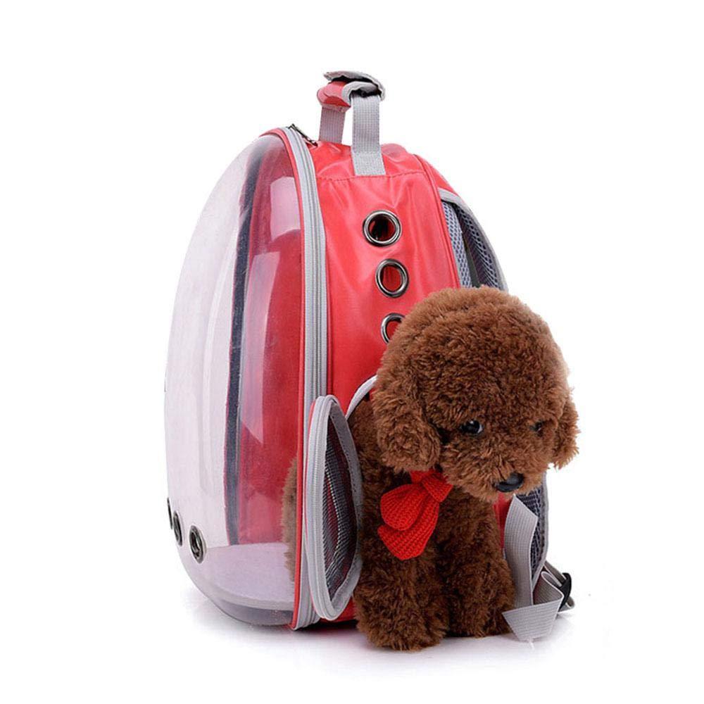 Best Selling Transparent Pet Backpack