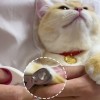 Cat Nail Clippers Pet Nail Clippers