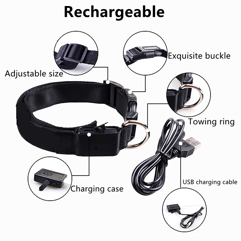 (🔥Last Day Promotion - 50% OFF) Glow-In-The-Dark Pet Collar-Buy 2 Free Shipping
