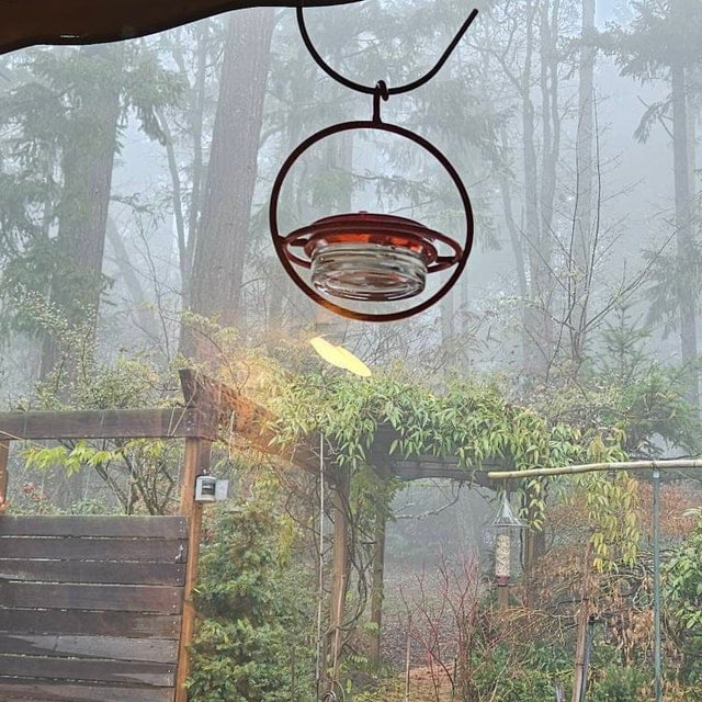 Hummble Slim Hummingbird Feeder