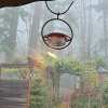 Hummble Slim Hummingbird Feeder