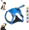 🔥LAST DAY 70% OFF🔥Automatic Retractable Dog Walking Harness, Buy 2 get Extra 10% OFF & Free Shipping