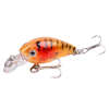 Minnow Fishing Lure