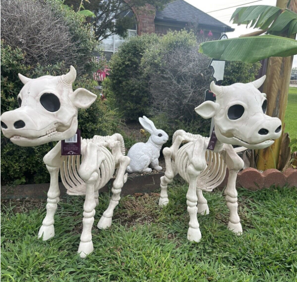 🐮💀Handmade Cow & Horse Skeleton Halloween Decorative Prop