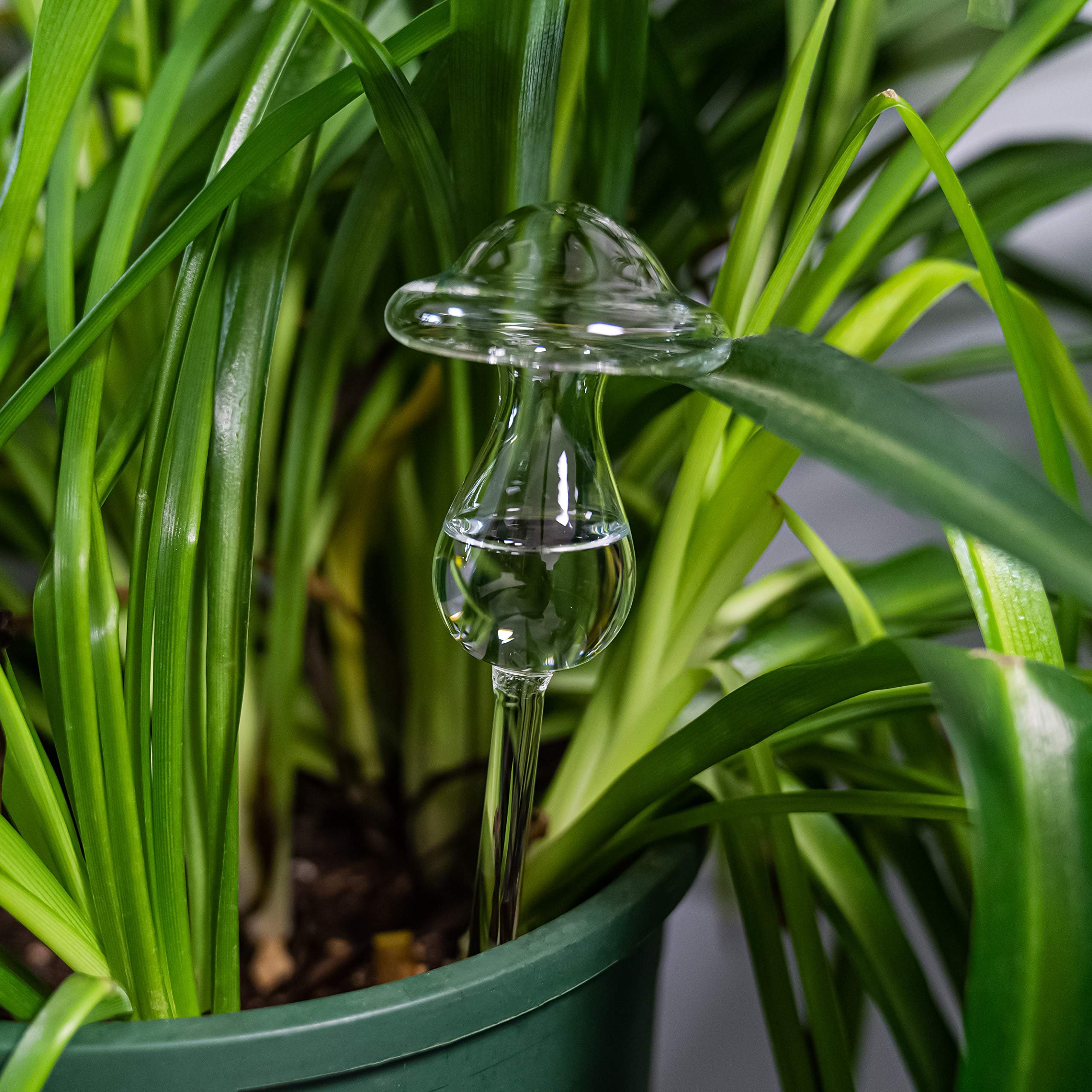 🎁TikTok Last Day Sale - 70% OFF✨ Mushroom Shaped Self-Watering Globes