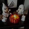 👻🔥Ghost Campfire Gathering