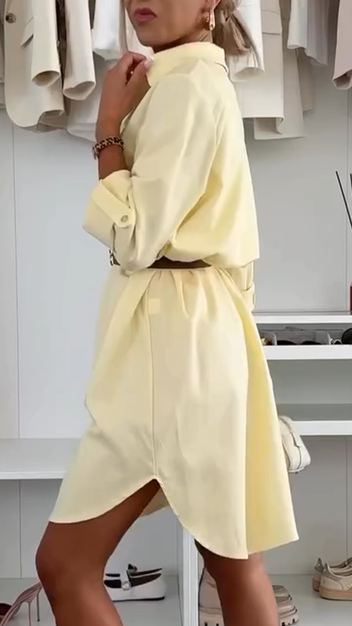 Women's Lapel Button Shirt Style Casual Dress