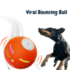 (🔥Last Day Promotions - 49% OFF) Chewie Viral Bouncing Ball