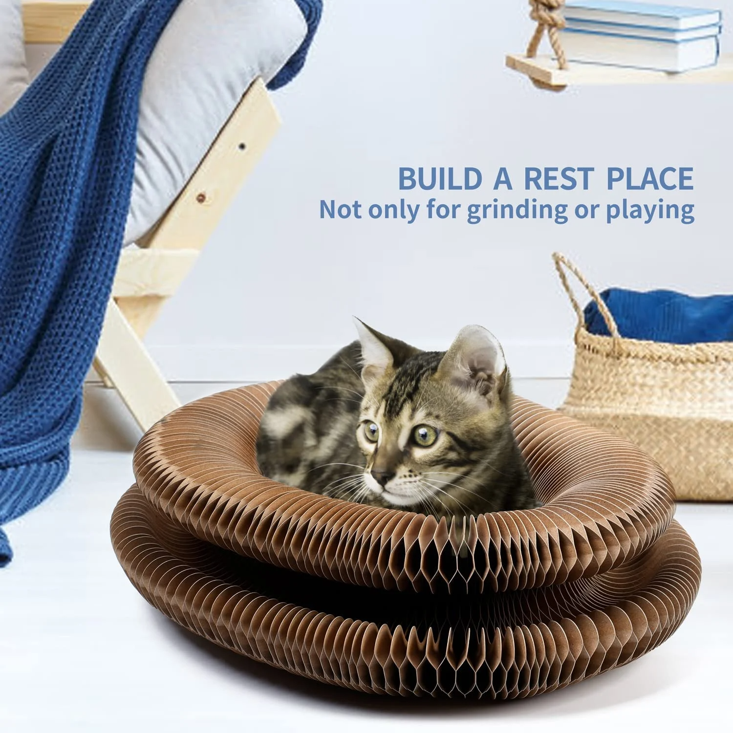 🐱Interactive Toy For Cats (BUY 2 FREE SHIPPING)
