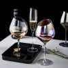 Rainbow Slanted Wine Glasses