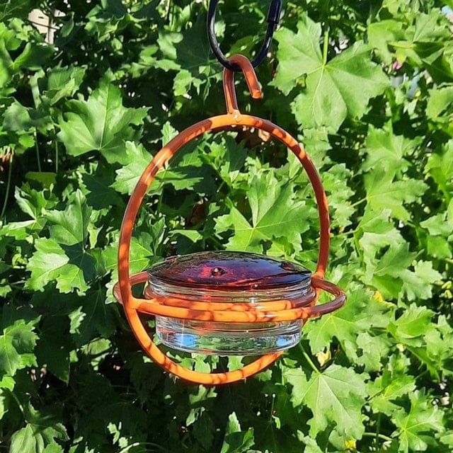 Hummble Slim Hummingbird Feeder