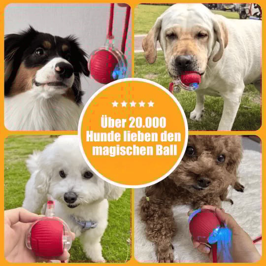 💗Letzter Tagesangebot: 49 % RABATT😻 Interaktiver Spielzeug Ball