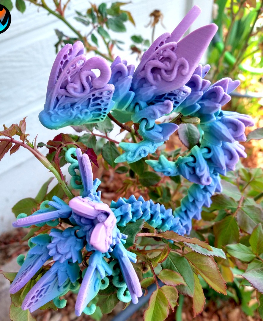 🦋Butterfly Dragon