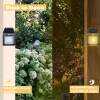 Solar induction lamp
