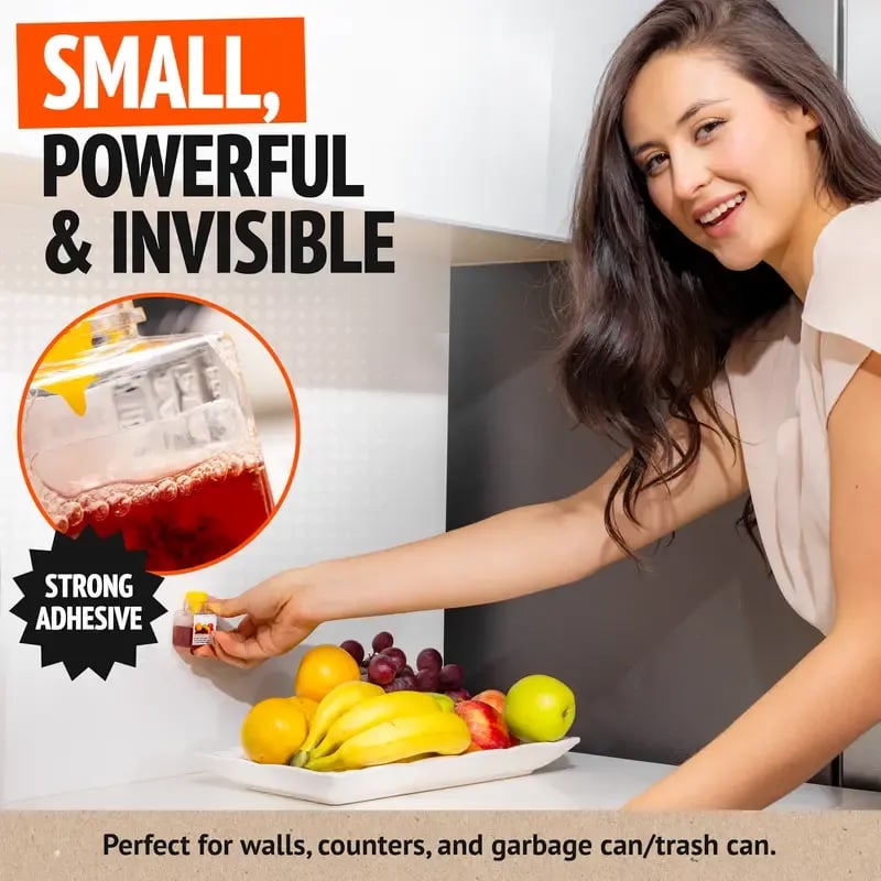 💥LAST DAY SALE 50% OFF💥Fruit Fly Trap⚡BUY 3 GET 1 FREE