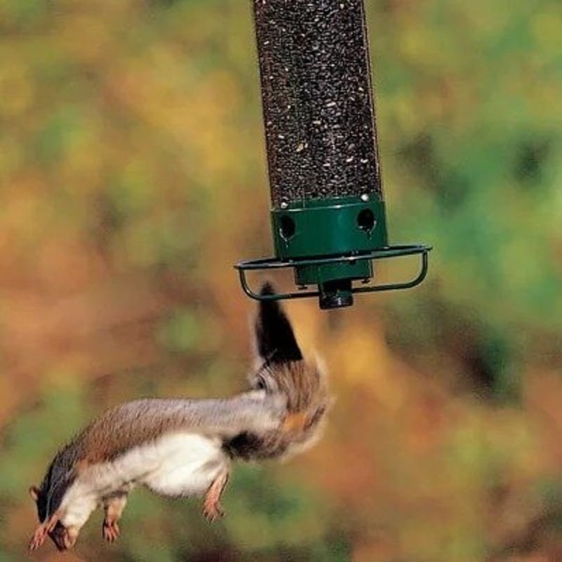 Metal Squirrel-Resistant Rotating Bird Feeder-Buy 2 Free Shipping