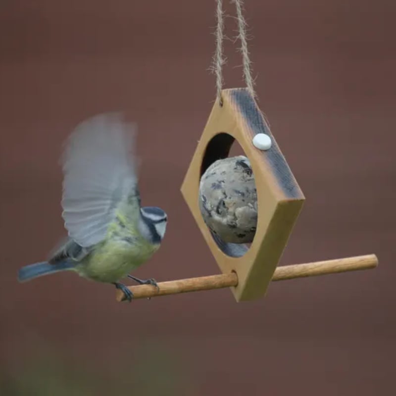 🎁TikTok Last Day Promotion -80% OFF🔥Fruit bird feeder Ideal for garden -🐦Buy 3 Get 3💚