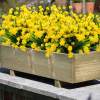 🎄Christmas Flash Sale-50% OFF-🔥Outdoor Artificial Flowers💐