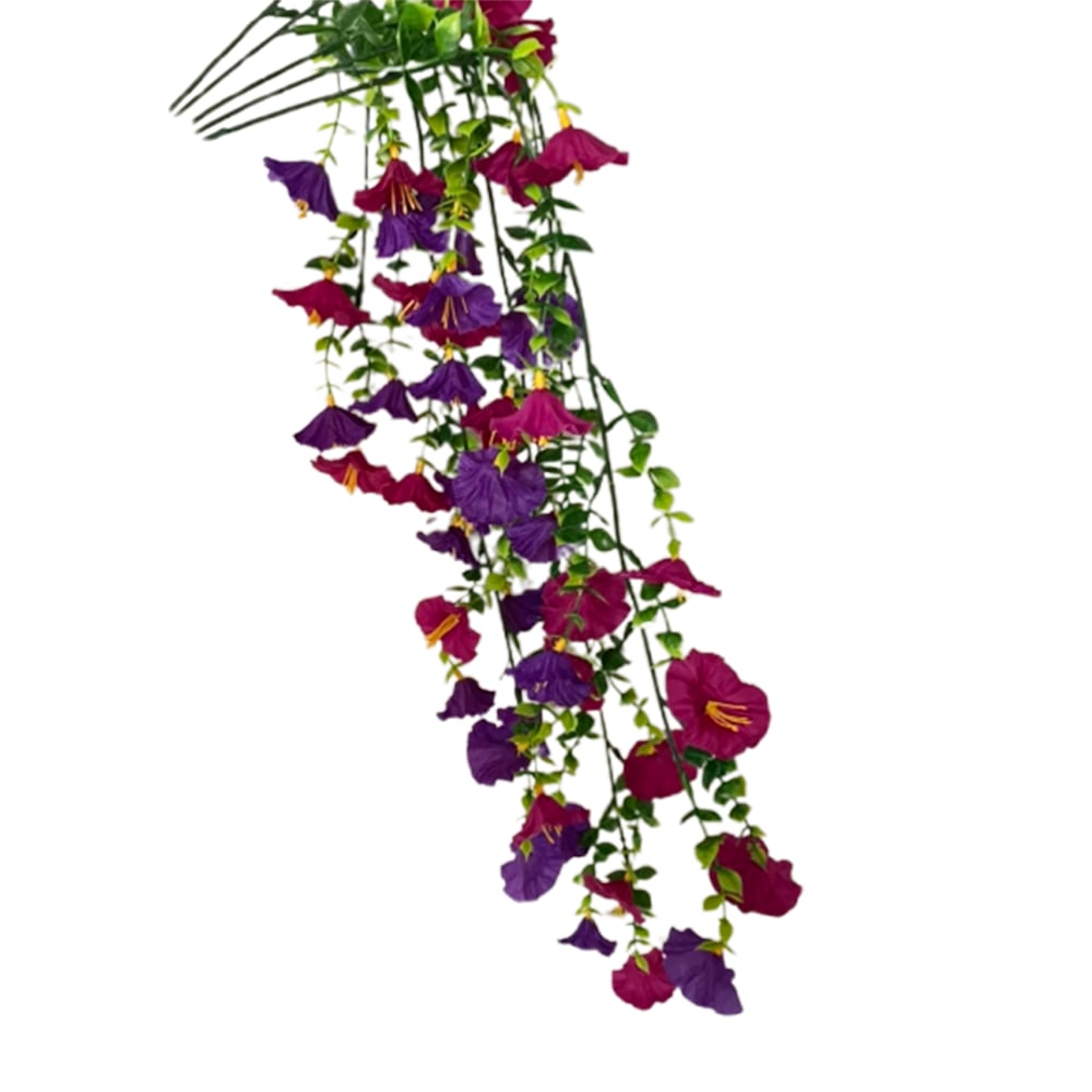 🔥Letzter Tag 50% Rabatt🌺Hängende Prunkwinde