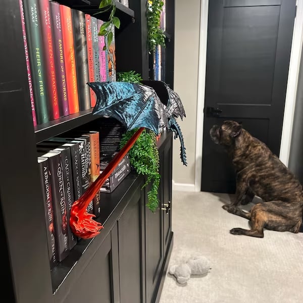 🔥 The Original Dragon Flame Book Nook