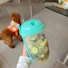 💥LAST DAY SALE 50% OFF💥Salad Cup⚡BUY 2 GET 1 FREE