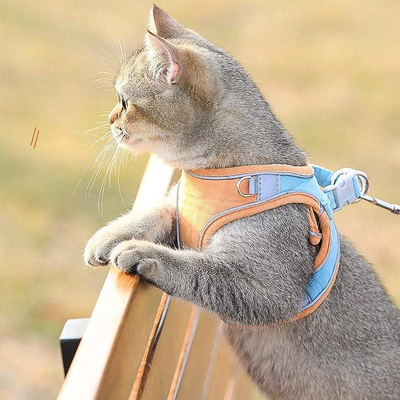 (🌲Early Christmas Sale- 50% OFF) Luminous Cat Vest Harness and Leash Set