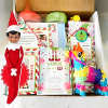 🎄Elf Kit 24/12 Days of Christmas