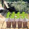 (🔥Last Day Sale-50% OFF)Seed Starter Trays with Grow Light-Buy 2 Get 1 Free
