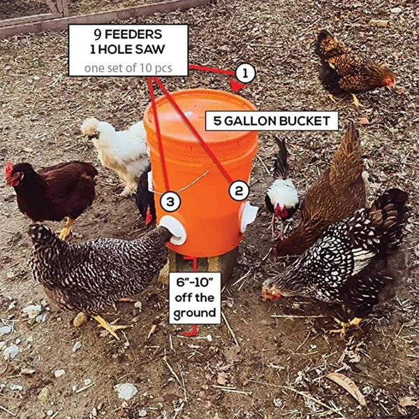 (🔥2023 Hot Sale 47% OFF)--DIY Chicken Feeder(BUY MORE SAVE MORE)