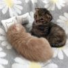 🌷Mother's Day Promotion 50% OFF🌷 -  Kitty Cat Nap Bed Pillows(2 Pcs)