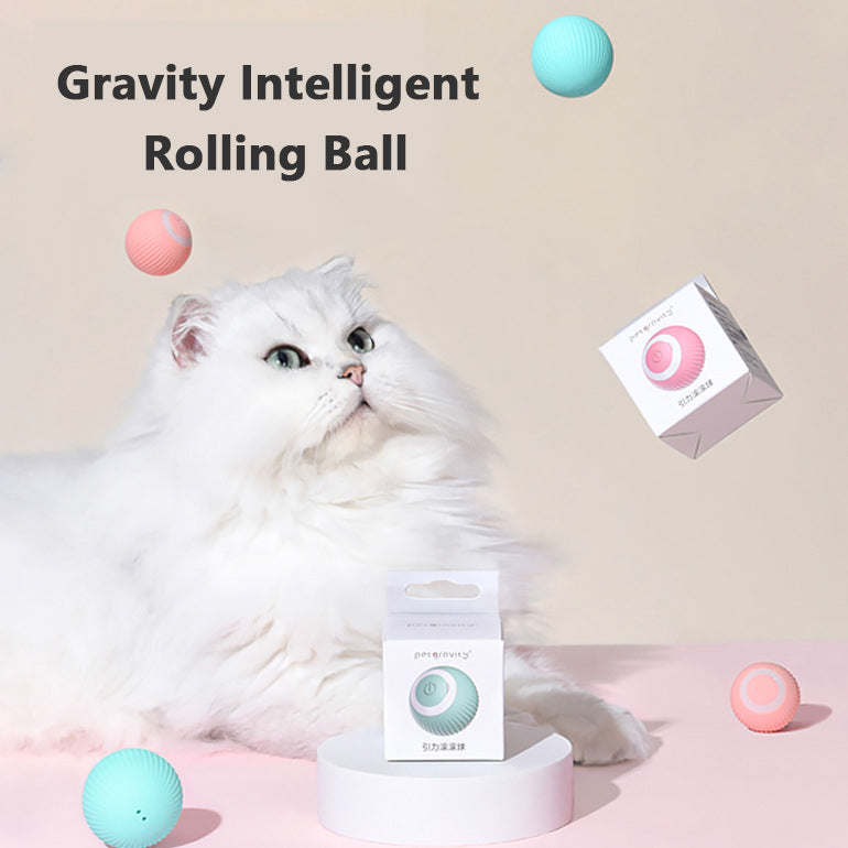 🔥Last Day 50% OFF🎉Cat Gravity Rolling Ball Tease Toy