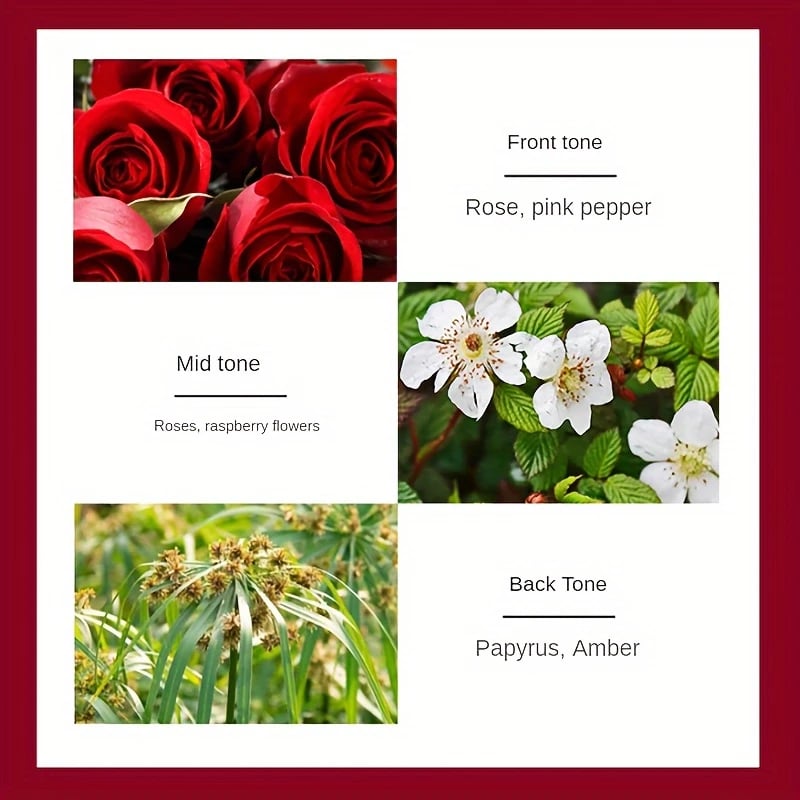 Midnight Rose Perfume🥀| A Timeless Fragrance 🌹