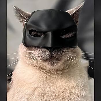 🔥Bat Cat Avenger Mask