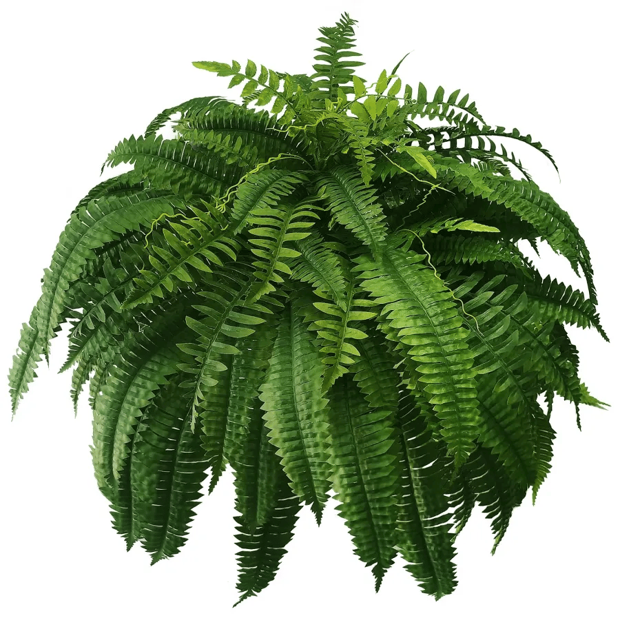 💥Last Day 75% OFF--UV Resistant Lifelike Artificial Boston Fern