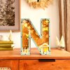 3D Nativity Monogram Ornament With Light