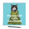 (🌲EARLY CHRISTMAS SALE - 50% OFF) 🎁2024 Pissed-Off Cats Calendar, BUY 2 FREE SHIPPING