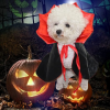 🔥【Halloween hot sale 55% OFF】Cat and Dog Halloween King Cape