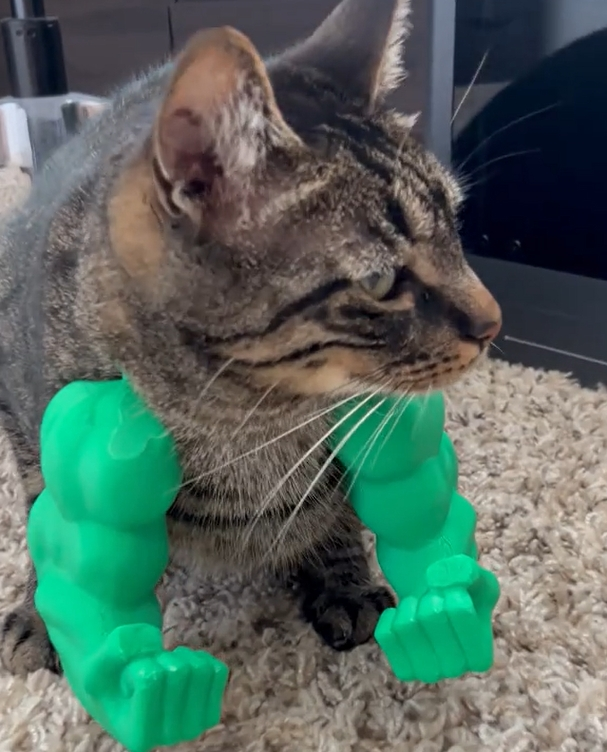 💥3D Printed Spoof Cat Hanging Neck Muscle Arm