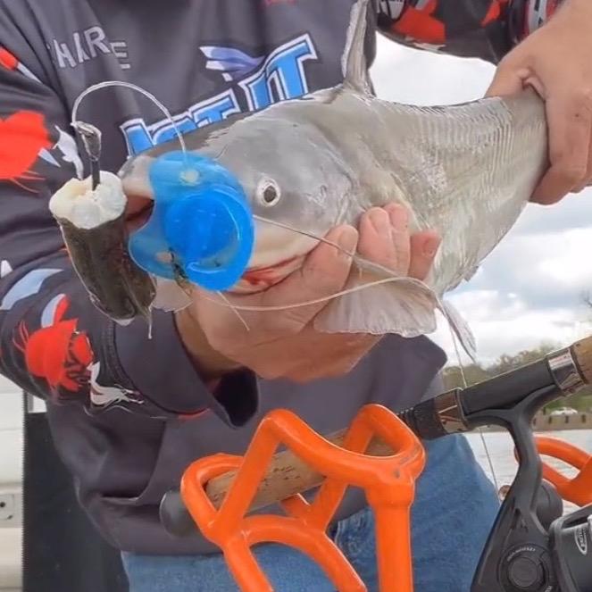 Pacifier Fishing Rig