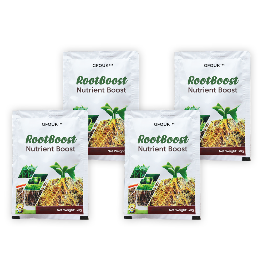 🎁Last Day Promotion- SAVE 70%🔥RootBoost Nutrient Powder