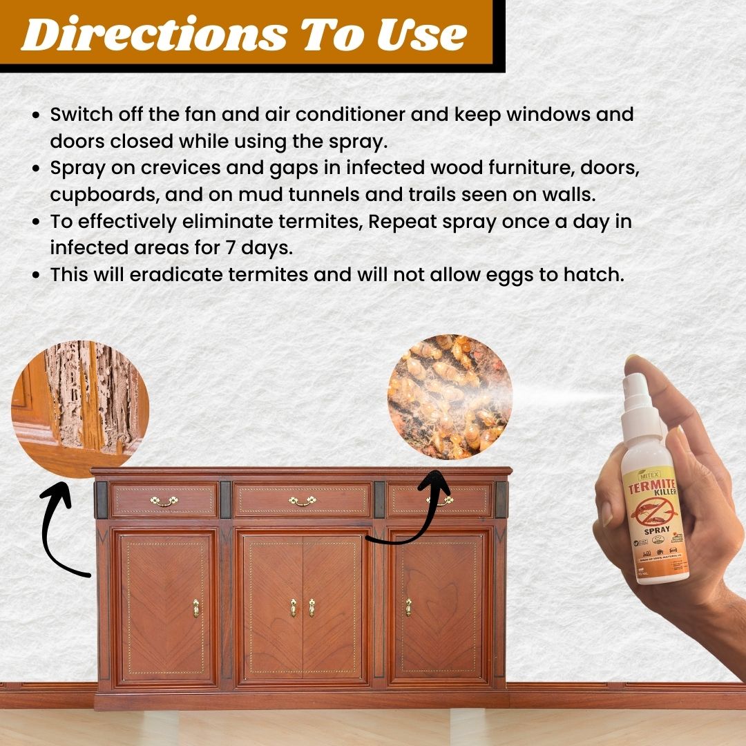 Termite Killer Spray - Effective solution for home