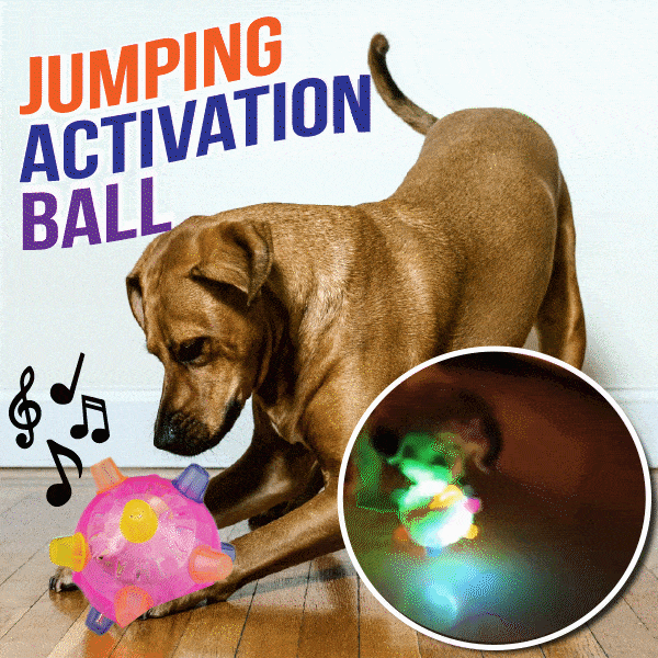 🔥BIG SALE - 49% OFF🔥Jumping Activation Ball for Dogs🐶🥎 BUY 2 GET 1 FREE🎅💥