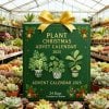 🔥Christmas Sales 50% OFF🎄-2025 Plant Christmas Advent Calendar🌿