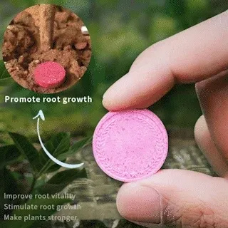 🔥Last Day Promotion 70% OFF🔥Slow Release Tablet Organic Fertilizer